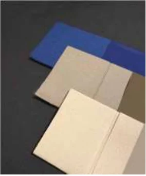 Airlaid pouches with paper band