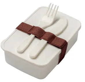 PP lunch box with cutlery