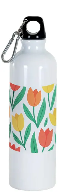 750ml stainless steel bottle