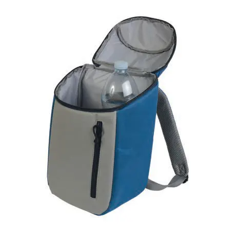 600D polyester thermal backpack