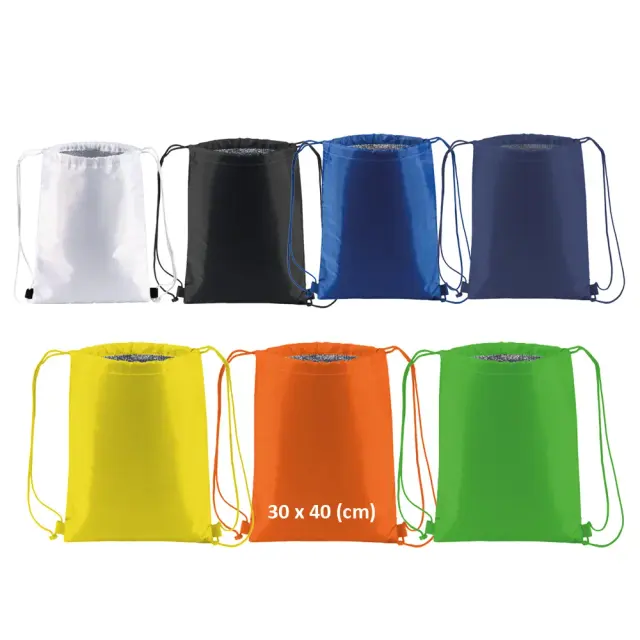 Thermal backpack in 210T polyester