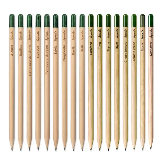 Sprout pencil made of natural wood with graphite lead